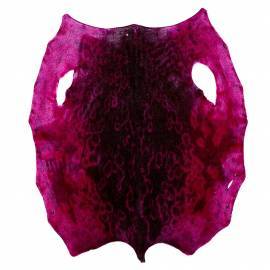 Ringsl - Pink KH - C