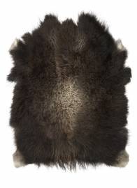 Grnlandsk Moskusokse Skind